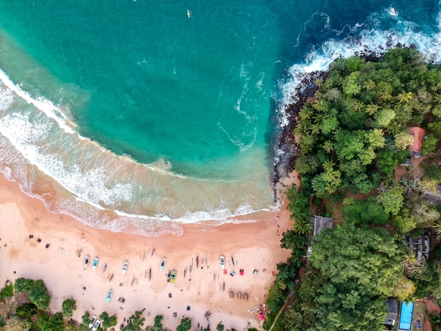 bird's eye view photograph of beach