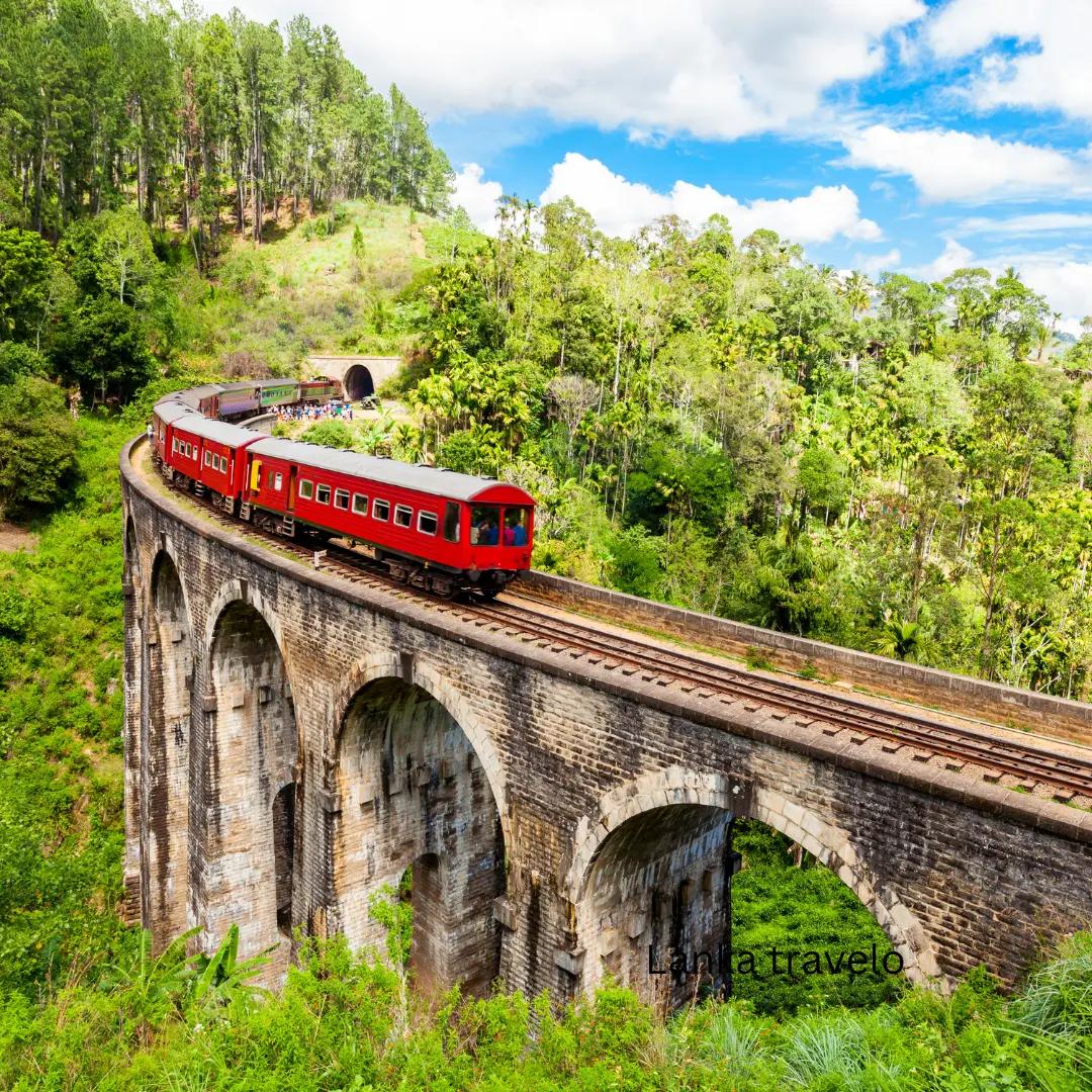 a train traveling over a bridge in the middle of a forest
