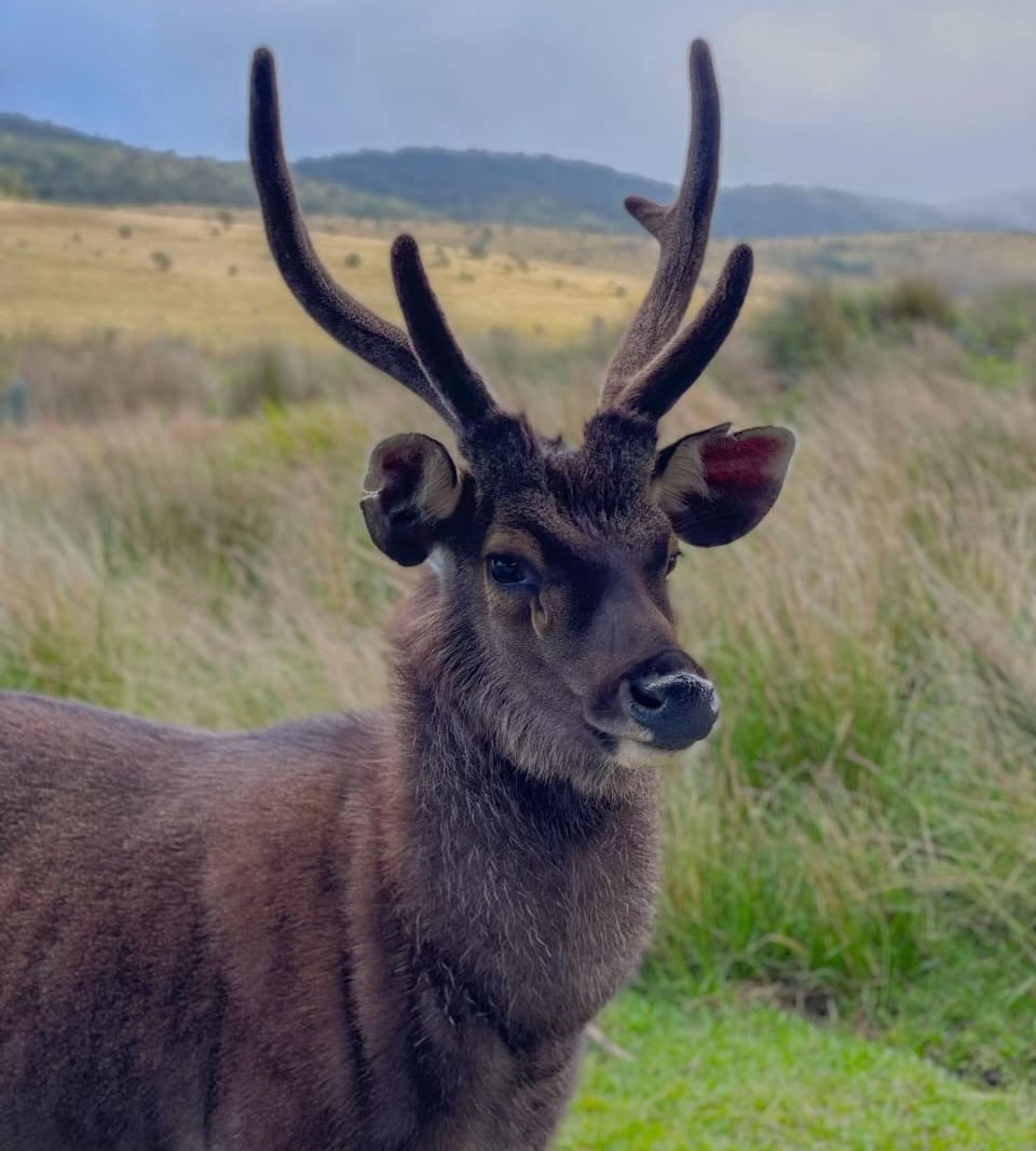 Horton Plains National Park