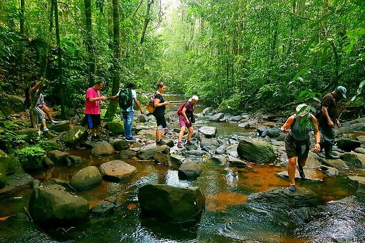 Sinharaja Rainforest